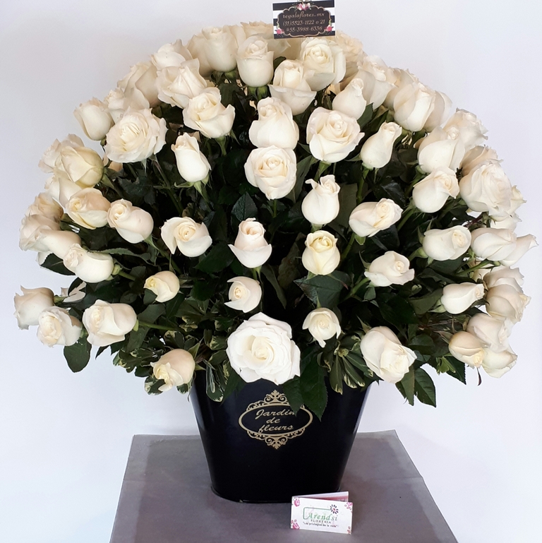Arreglo con 100 rosas blancasModelo 501 ⋆ Arendsi